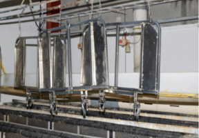 Nickel Plating